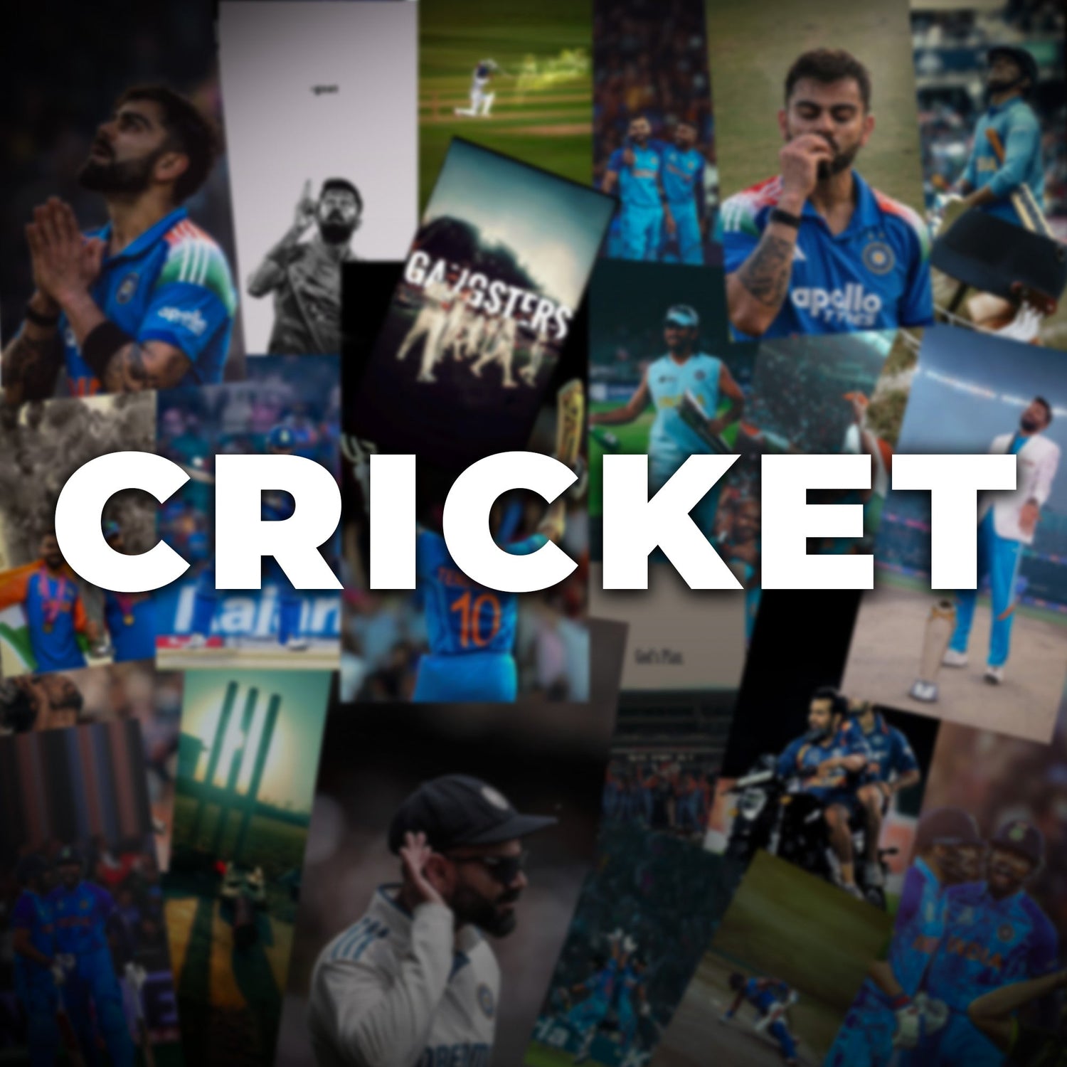Cricket