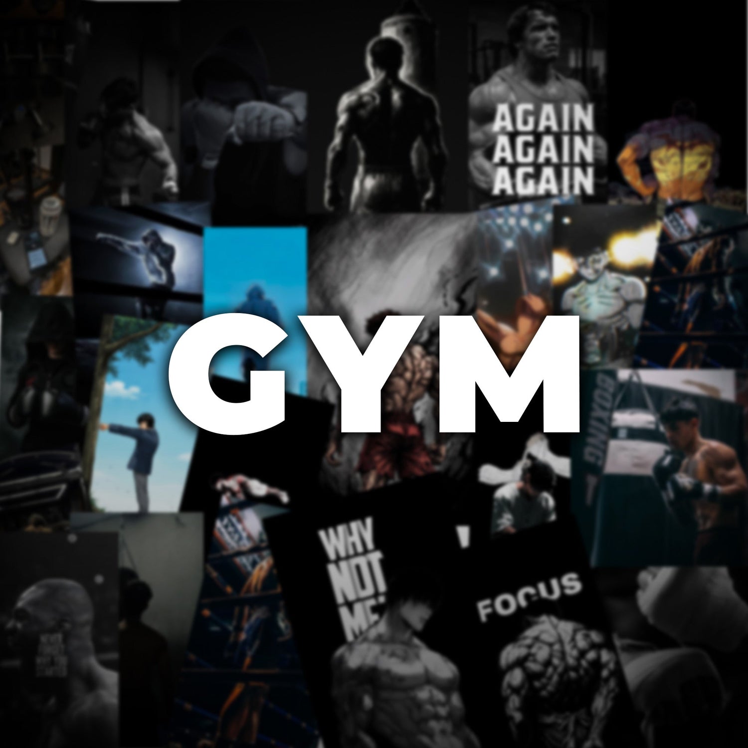GYM